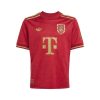 [Premium Quality] Bayern Munich 125th Anniversary Jersey